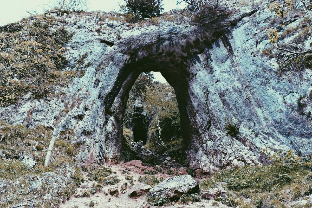 Image 6